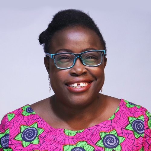 Portrait of Professor Kemi Ogunyemi