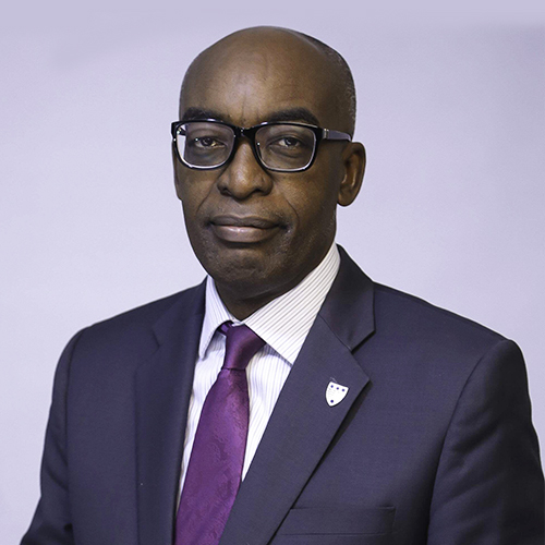 Portrait of Professor Olawale Ajai