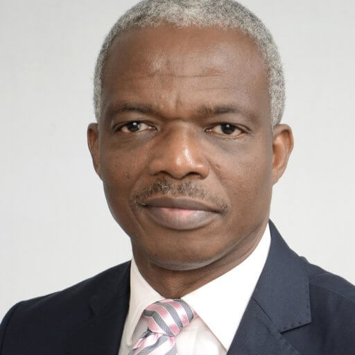Portrait of Dr Doyin Salami