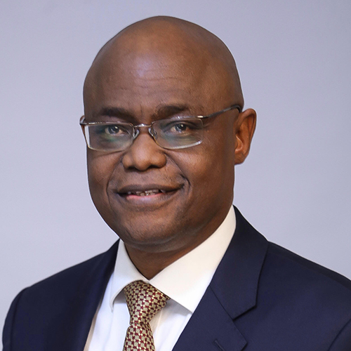 Portrait of Dr Akin Oparison