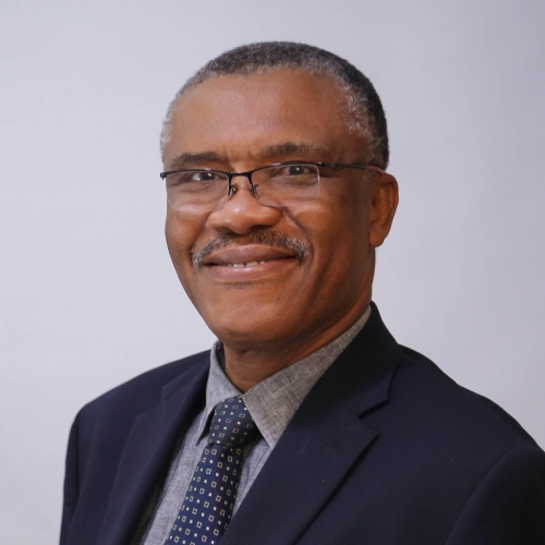 Portrait of Professor Frank Ojadi